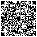 QR code with Tint Masters contacts