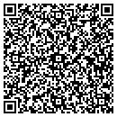 QR code with Premier Auto Care contacts