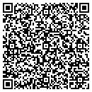 QR code with Big Data Systems Inc contacts