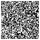 QR code with Professional Sales Force contacts