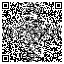 QR code with Pyramid Place contacts