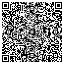 QR code with Pro Deep Inc contacts