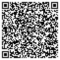 QR code with Qse contacts