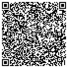 QR code with Publix Super Market contacts