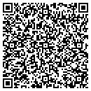QR code with Protege Title contacts