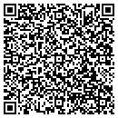 QR code with C W's Quality Roofing contacts
