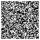 QR code with Cronin Financial contacts