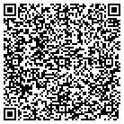 QR code with Public Affairs Consultants contacts