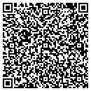 QR code with Collier Team Sports contacts
