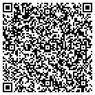 QR code with Chem Techs Roof Cleaning contacts