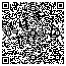 QR code with Premiere Radio contacts