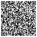 QR code with Bay Area Imports Inc contacts