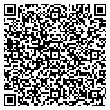 QR code with Besico contacts