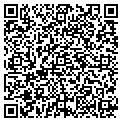 QR code with 4 Gold contacts