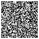 QR code with Clear View Services contacts