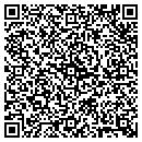 QR code with Premier Auto Inc contacts