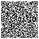 QR code with Pyramid Disc Jockeys contacts