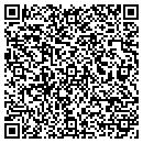 QR code with Care-Free Irrigation contacts