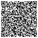 QR code with Pure Paint & Clean Inc contacts