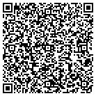 QR code with Chestertown Storage Inc contacts