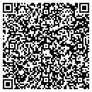 QR code with Pro Sports Surfaces contacts
