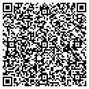 QR code with Cnp Construction Inc contacts