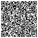 QR code with Pro Final Inc contacts