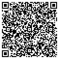 QR code with Chez J contacts