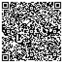 QR code with Carroll Construction contacts