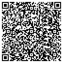 QR code with Blue Dolphin contacts