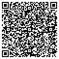 QR code with Magitex contacts