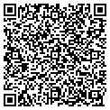 QR code with A&M TV contacts