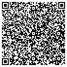 QR code with Public Service Taxi Inc contacts