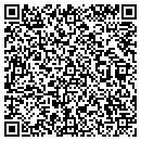 QR code with Precision Auto Parts contacts
