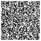 QR code with Pulice Land Surveyors Inc contacts