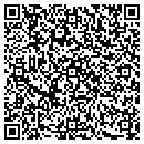 QR code with Punchology Inc contacts