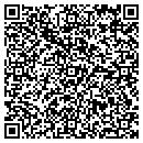 QR code with Chicks Blinds & More contacts