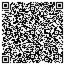 QR code with Pro Pools Inc contacts