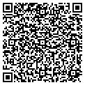 QR code with Kiwis contacts