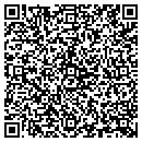 QR code with Premier Storages contacts