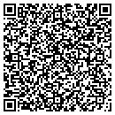 QR code with Pyramid Carpet contacts
