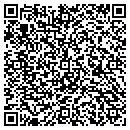 QR code with Clt Construction Inc contacts