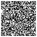 QR code with Dream Business Group contacts