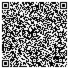 QR code with BMI Financial Service Inc contacts