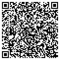 QR code with C Fish contacts