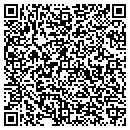 QR code with Carpet Island Inc contacts
