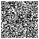 QR code with Cellular Access Inc contacts