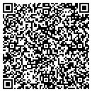 QR code with Chiptech Onsite Inc contacts