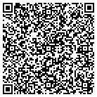 QR code with Professional Automotive contacts