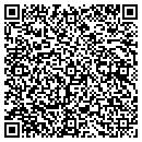 QR code with Professional Carpets contacts